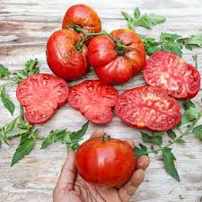 Afbeeldingsresultaat voor prudence purple tomato