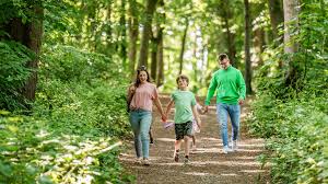 Image result for Dalkeith Park Equestrian Club