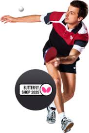 Image result for Foresters Table Tennis Club