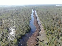 Image result for Reparudasu