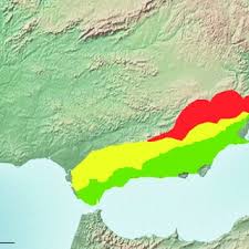 Attēlu rezultāti vaicājumam “Schistidium apocarpum sporophyte”