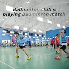 Image result for The Highly Strung Badminton Club