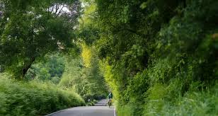 Image result for Hemel Hempstead Cc