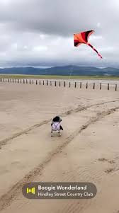 Image result for Midlands Kite Fliers