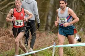 Image result for Annadale Striders Ac