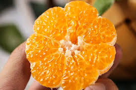 Image result for 春粒