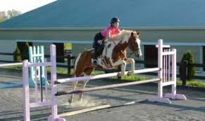 Image result for Lower Farm Stables