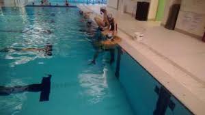 Image result for Orkney Octopush Club