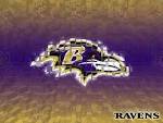 raven nfl
