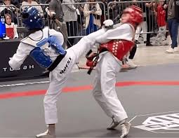 Image result for Quest Taekwondo