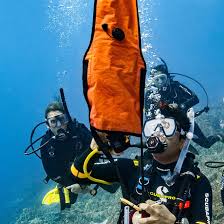 Image result for Southampton University Sub-Aqua Club