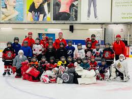 Image result for Swindon Panthers