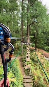 Image result for Go Ape! Dalby