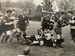 Image result for Cheltenham Rugby Football Club