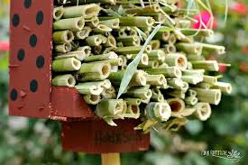 Image result for ladybug house