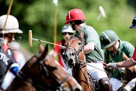 Image result for Taunton Vale Polo Club