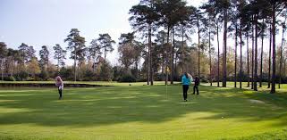 Image result for Easthampstead Golf Club
