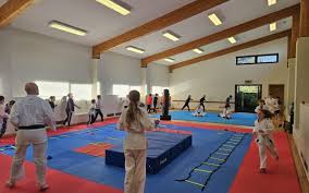 Image result for Red Dragon Taekwondo club