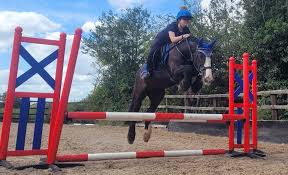 Image result for Lower Farm Stables