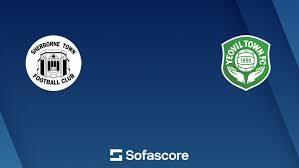 Image result for Sherborne Town Football Club