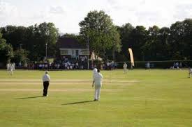 Image result for Amaranth Cricket Club