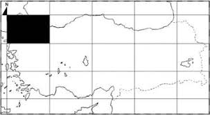 Attēlu rezultāti vaicājumam “Serpoleskea confervoides”