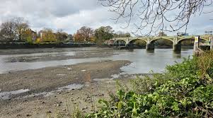 Image result for Richmond-Freediving (London)