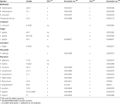 Attēlu rezultāti vaicājumam “Physaraceae”