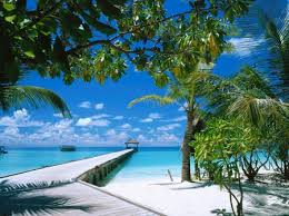 tour du monde: les iles maldives^^ Images?q=tbn:ANd9GcQVewFvJj0jzG_sawW0EYVloiTT4SY7WOYwEUcSxDGRxSDT3so7XA