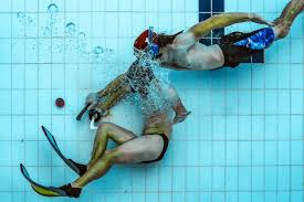 Image result for Nautilus Underwater Hockey Club