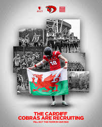 Image result for Cardiff Cobras