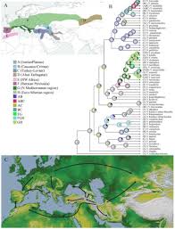 Image result for pfanzelt tehron