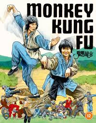 Image result for kung fu