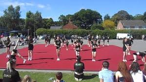 Image result for Chiltern Cheetahs