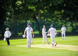 Image result for Wath Cc