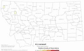 Attēlu rezultāti vaicājumam “Nardia geoscyphus”