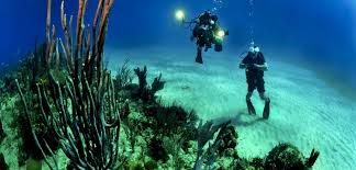 Image result for Simply Scuba