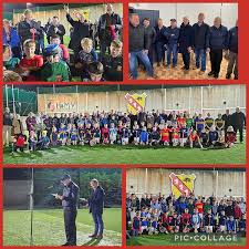 Image result for Moycarkey-Borris Gaa Club