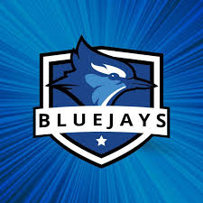 Image result for Blue Jays Netball Club