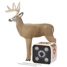 Image result for ArcheryDuns