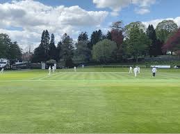 Image result for Whitehaven Cricket Club
