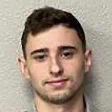 Image result for dipperfox tehron