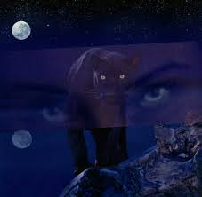 Afbeeldingsresultaat voor panters