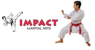 Image result for Impact Martial Arts
