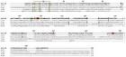 ScienceDirect.com - Journal of Molecular Biology - Kinetic and ...