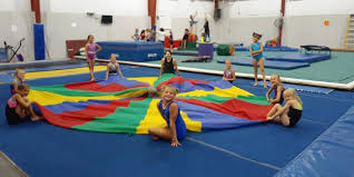Image result for Farnham Gymnastics Club