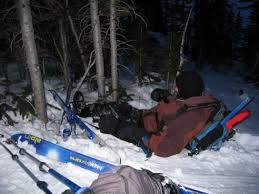 Image result for Gordon Skiers