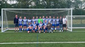 Image result for Beecholme Fc