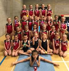 Image result for Wolverhampton Gymnastics Club