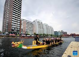 Image result for Amathus Dragon Boat Club